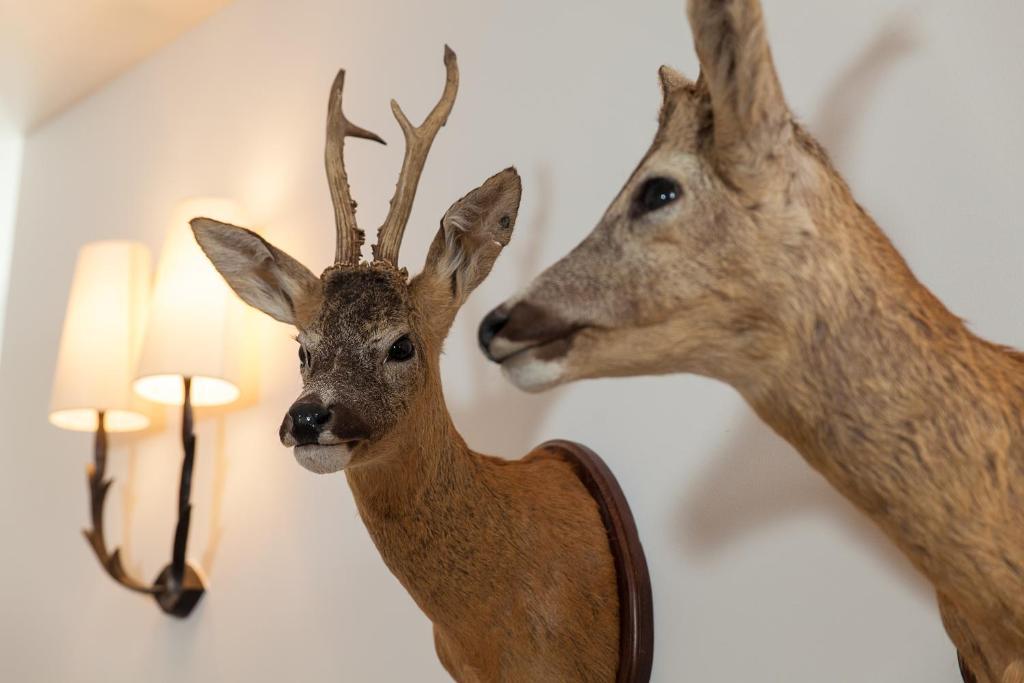 Boutique-Hotel Garni Bellevue Davos Wiesen エクステリア 写真